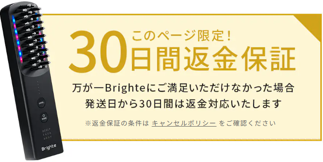 エレキブラシ　公式返金保証